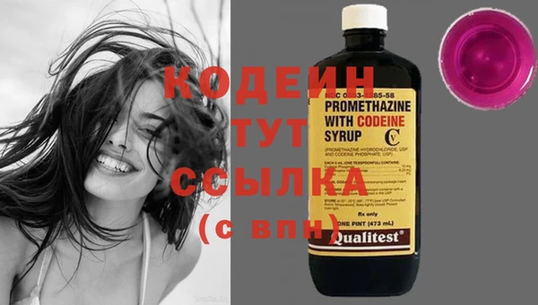 молекула духа Снежинск