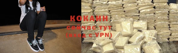 сатива Балахна