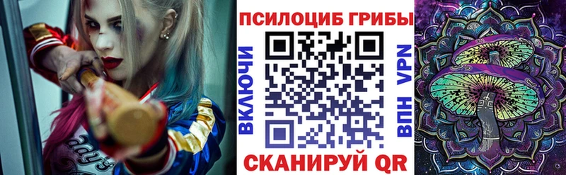 купить наркотики цена  гидра ССЫЛКА  Галлюциногенные грибы мицелий  Горняк 
